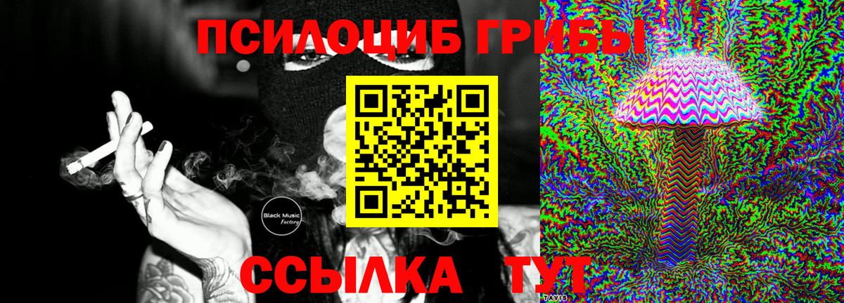 Псилоцибиновые грибы Cubensis Новоуральск