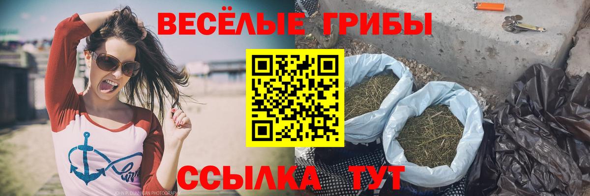 Псилоцибиновые грибы ЛСД  Вход с VPN  Новоуральск  Галлюциногенные грибы MAGIC MUSHROOMS 