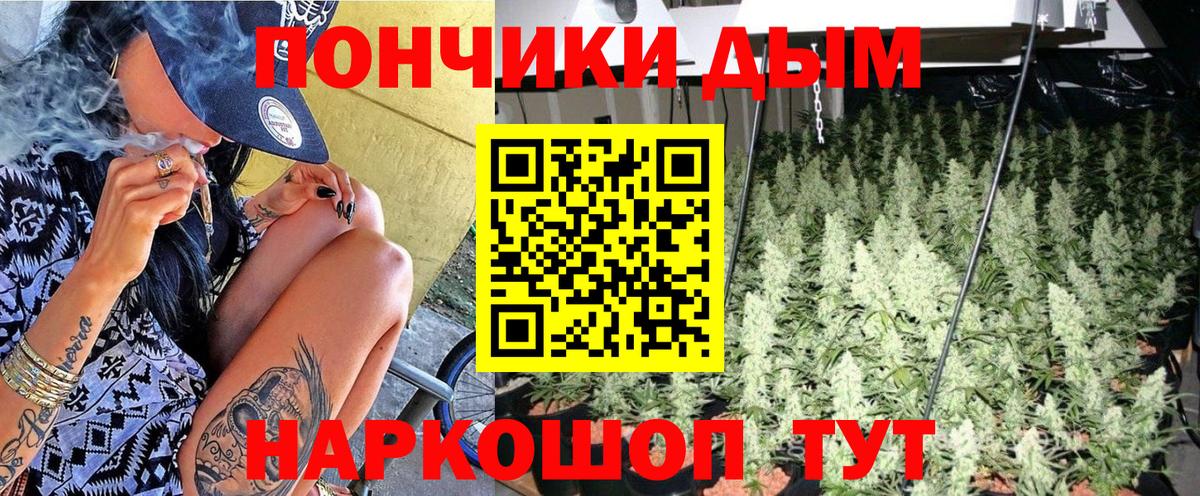 Марихуана планчик  МАРИХУАНА планчик  Новоуральск  Вход с VPN 